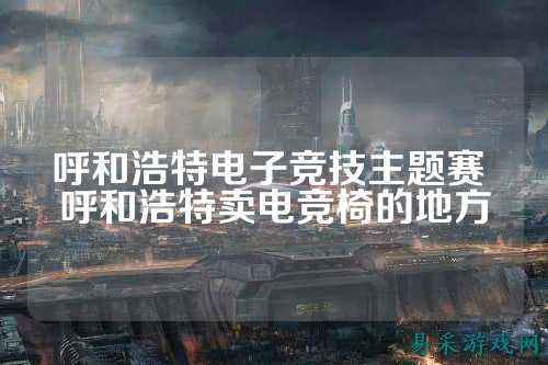 呼和浩特电子竞技主题赛 呼和浩特卖电竞椅的地方