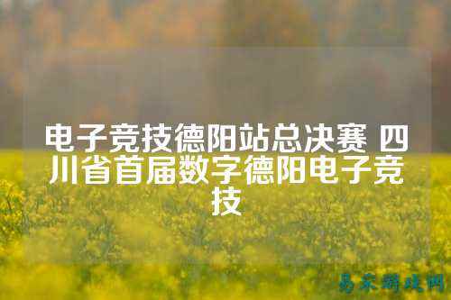 电子竞技德阳站总决赛 四川省首届数字德阳电子竞技
