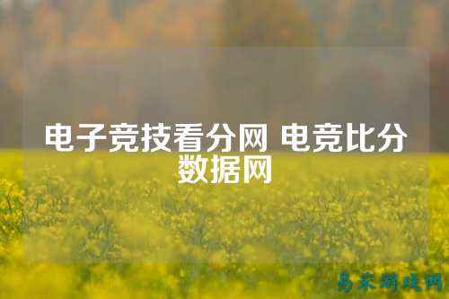 电子竞技看分网 电竞比分数据网