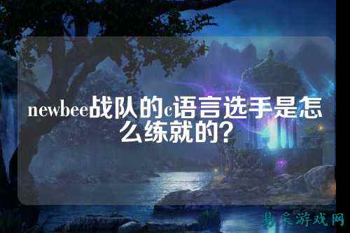 newbee战队的c语言选手是怎么练就的？