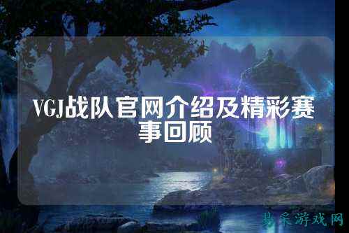 VGJ战队官网介绍及精彩赛事回顾