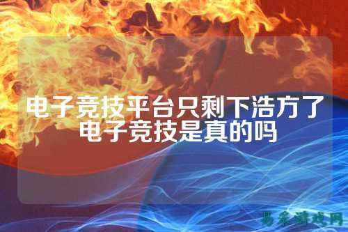 电子竞技平台只剩下浩方了 电子竞技是真的吗