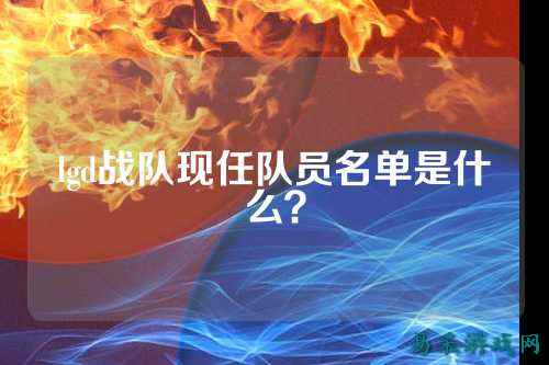 lgd战队现任队员名单是什么？