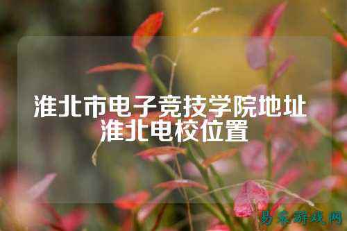 淮北市电子竞技学院地址 淮北电校位置