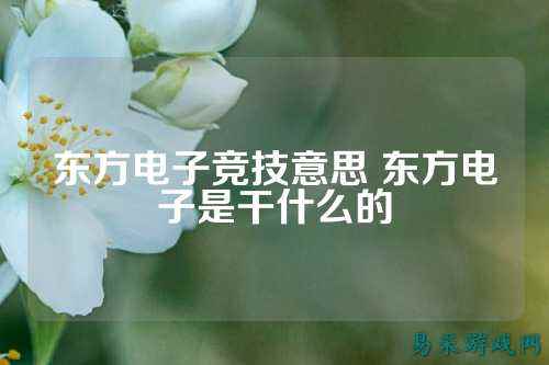 东方电子竞技意思 东方电子是干什么的