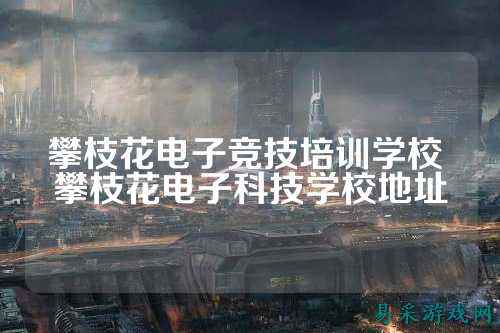 攀枝花电子竞技培训学校 攀枝花电子科技学校地址