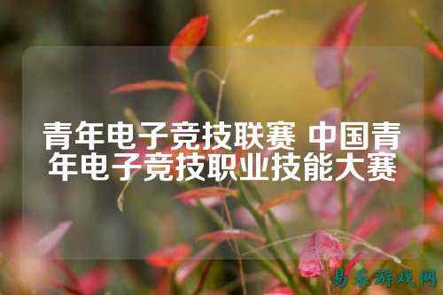 青年电子竞技联赛 中国青年电子竞技职业技能大赛