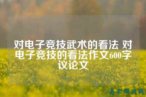 对电子竞技武术的看法 对电子竞技的看法作文600字议论文
