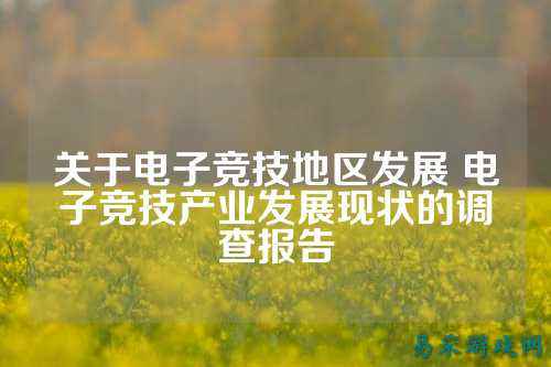 关于电子竞技地区发展 电子竞技产业发展现状的调查报告