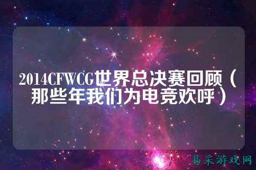 2014CFWCG世界总决赛回顾(那些年我们为电竞欢呼)