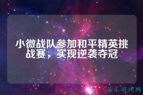 小微战队参加和平精英挑战赛,实现逆袭夺冠