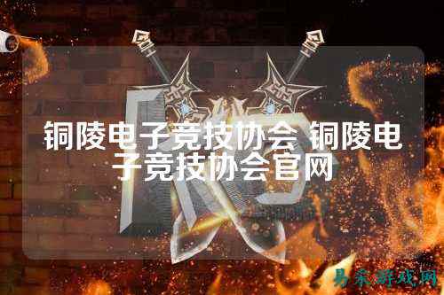 铜陵电子竞技协会 铜陵电子竞技协会官网