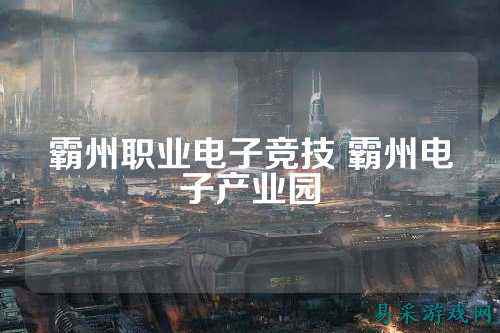 霸州职业电子竞技 霸州电子产业园