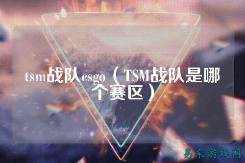 tsm战队csgo(TSM战队是哪个赛区)