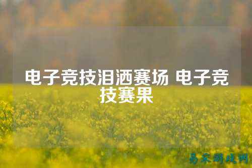电子竞技泪洒赛场 电子竞技赛果