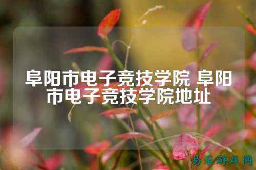 阜阳市电子竞技学院 阜阳市电子竞技学院地址