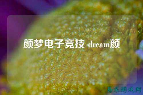 颜梦电子竞技 dream颜