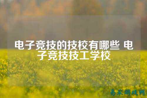 电子竞技的技校有哪些 电子竞技技工学校