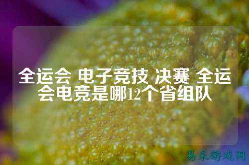 全运会 电子竞技 决赛 全运会电竞是哪12个省组队