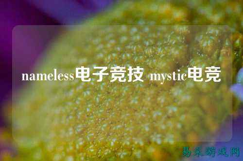 nameless电子竞技 mystic电竞