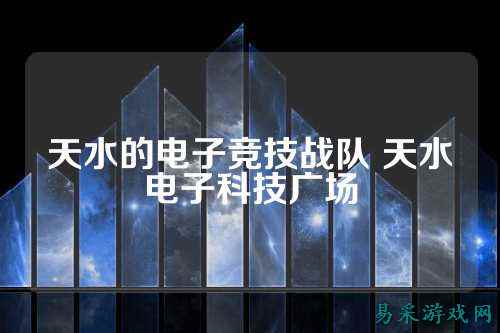 天水的电子竞技战队 天水电子科技广场