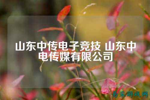 山东中传电子竞技 山东中电传媒有限公司
