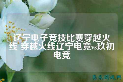 辽宁电子竞技比赛穿越火线 穿越火线辽宁电竞vs玖初电竞
