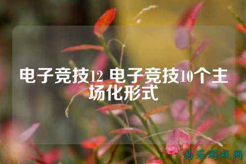 电子竞技12 电子竞技10个主场化形式