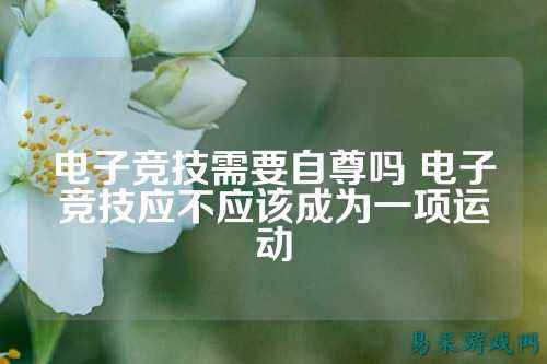 电子竞技需要自尊吗 电子竞技应不应该成为一项运动