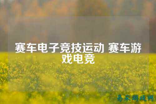 赛车电子竞技运动 赛车游戏电竞