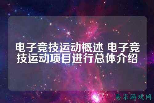 电子竞技运动概述 电子竞技运动项目进行总体介绍