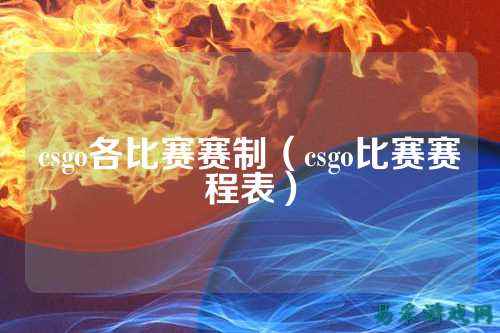 csgo各比赛赛制（csgo比赛赛程表）