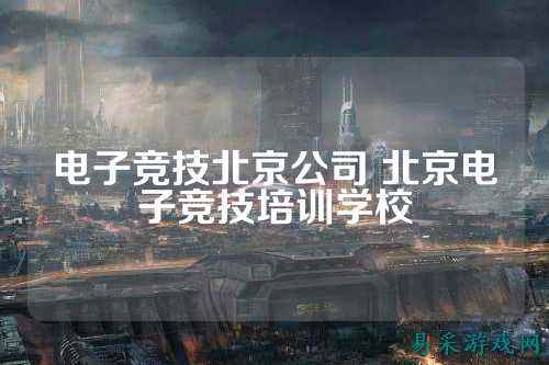 电子竞技北京公司 北京电子竞技培训学校