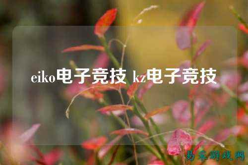 eiko电子竞技 kz电子竞技
