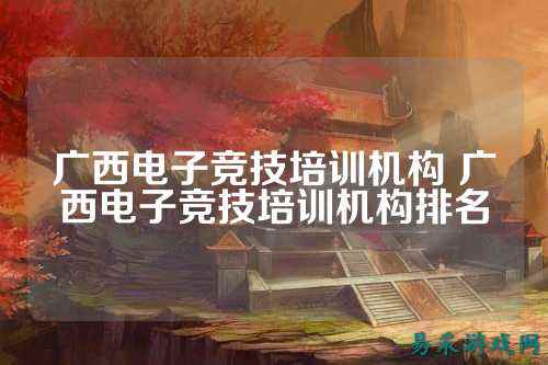 广西电子竞技培训机构 广西电子竞技培训机构排名