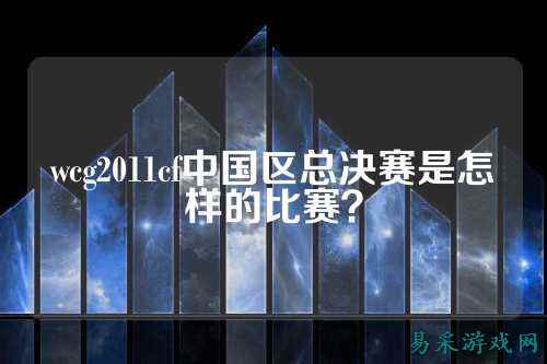 wcg2011cf中国区总决赛是怎样的比赛？