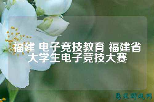 福建 电子竞技教育 福建省大学生电子竞技大赛