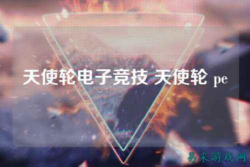 天使轮电子竞技 天使轮 pe