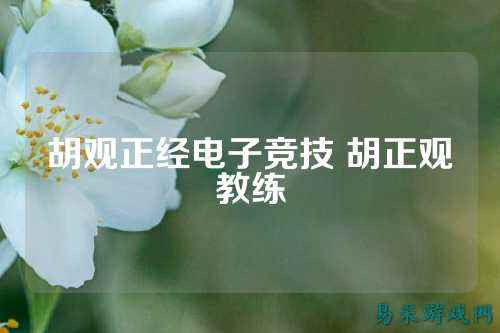 胡观正经电子竞技 胡正观教练