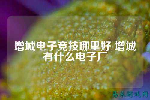 增城电子竞技哪里好 增城有什么电子厂
