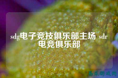 sdg电子竞技俱乐部主场 sdr电竞俱乐部