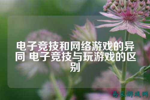 电子竞技和网络游戏的异同 电子竞技与玩游戏的区别