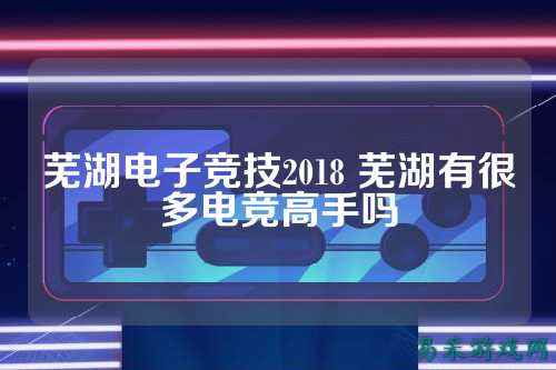 芜湖电子竞技2018 芜湖有很多电竞高手吗