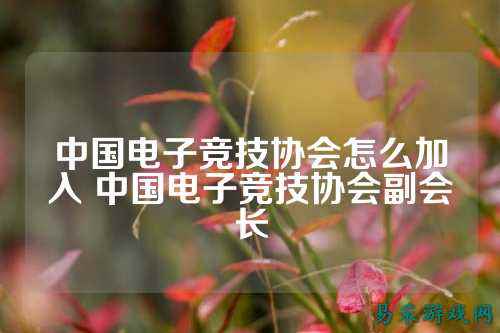 中国电子竞技协会怎么加入 中国电子竞技协会副会长