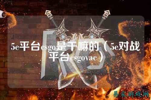 5e平台csgo是干嘛的(5e对战平台csgovac)