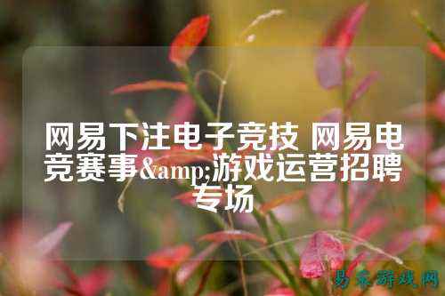 网易下注电子竞技 网易电竞赛事&游戏运营招聘专场