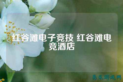 红谷滩电子竞技 红谷滩电竞酒店
