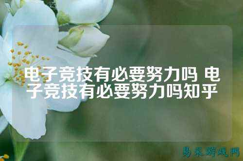 电子竞技有必要努力吗 电子竞技有必要努力吗知乎