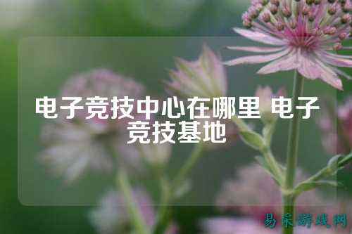 电子竞技中心在哪里 电子竞技基地