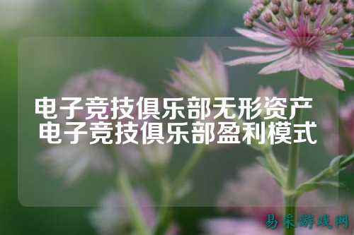 电子竞技俱乐部无形资产 电子竞技俱乐部盈利模式